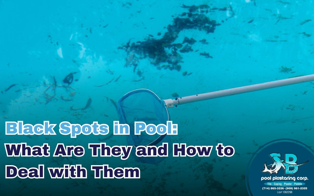 Close-up of black algae spots on pool wall