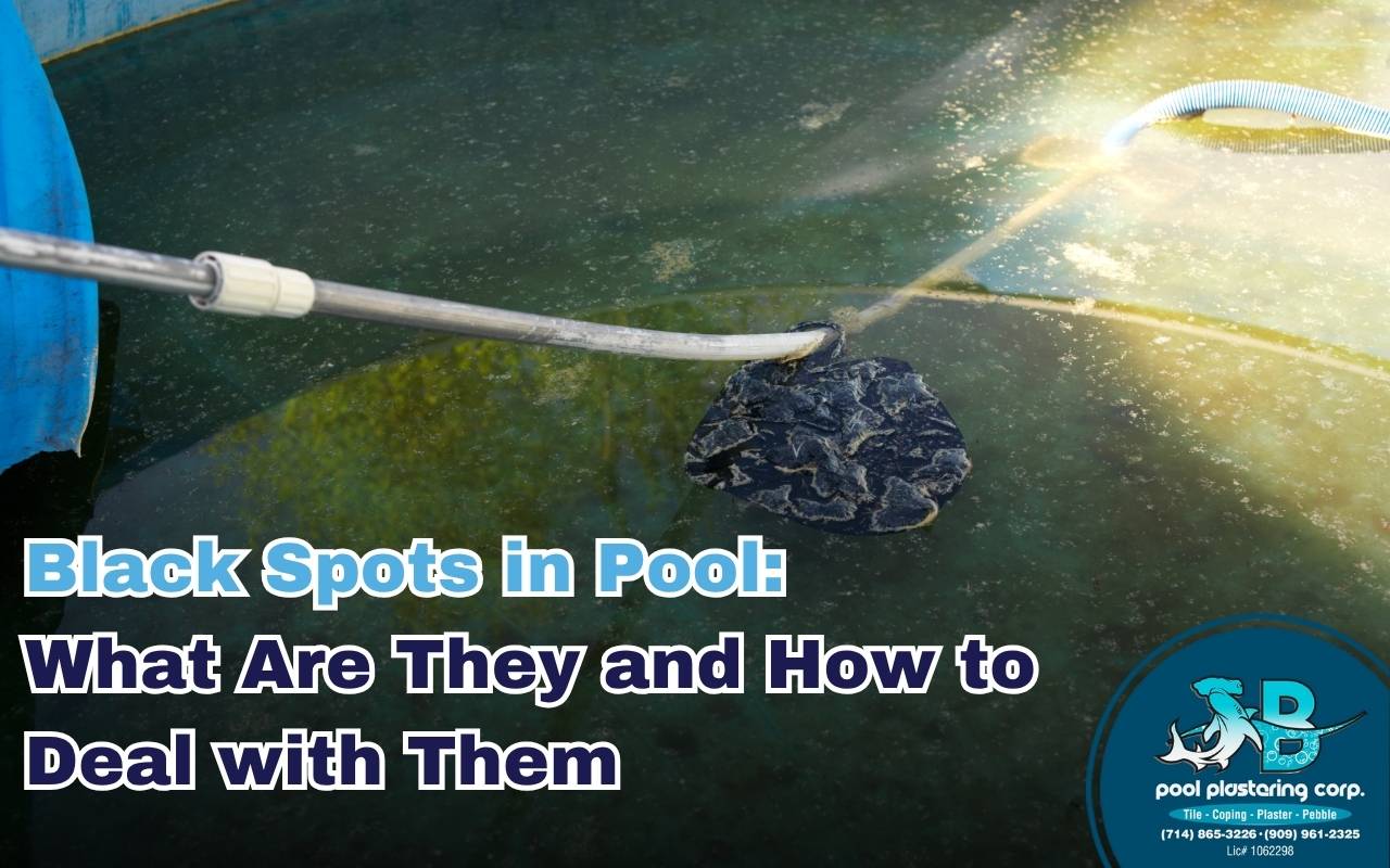 Pool owner scrubbing black algae from plaster surface