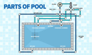 Parts of a Pool: A Guide to a Pool's Anatomy Basics