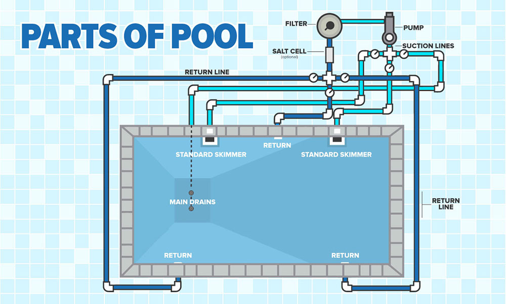 Parts of a Pool Infographic