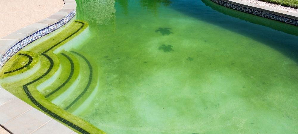 How to Identify Pool Stains