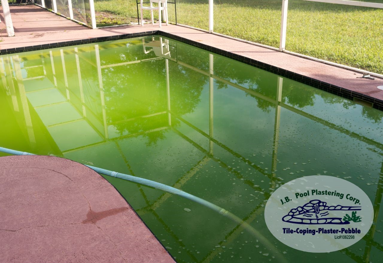 can you swim in a pool with algae