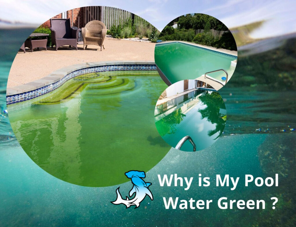 Why is My Pool Water Green? Exposing the Green Secret